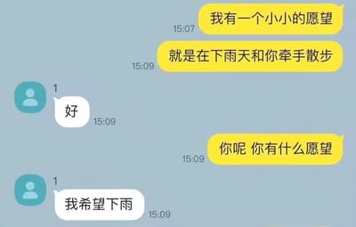 这是一张即时通讯软件的聊天记录截图，浅蓝色背景下，黄色气泡为一方的发言，白色气泡为另一方的发言：15:07黄气泡方先说自己的小愿望是下雨天和对方牵手散步，15:09对方回复“好”，紧接着黄气泡方询问对方的愿望，对方回复“我希望下雨”，形成了不解风情的反差笑点，充满搞笑效果，常被用来调侃情商较低、不懂浪漫的聊天对象。