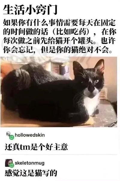 这是一张搞笑图文梗图，上方标题为“生活小窍门”，介绍了一个提醒事项的小技巧：如果需要每天在固定时间做某件事（举例为吃药），只需要每次做这件事之前给自家猫开一个罐头，主人可能会忘记这件事，但猫绝对不会忘记，到点就会提醒主人；图片中部是一只趴卧着的黑白奶牛猫，正看向镜头；图片下方展示了两条网友评论，第一位用户hollowedskin评论“还真tm是个好主意”，第二位用户skeletonmug评论“感觉这是猫写的”，整体调侃猫为了吃罐头会牢牢记住时间，戳中养猫人的笑点，很有共鸣。
