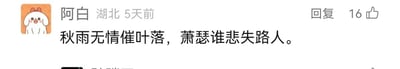 这是一张静态的社交媒体评论截图，界面为典型的国内社交平台评论区样式。左上角是用户“阿白”的专属卡通头像，为一只佩戴红色蝴蝶结的白色小狗，小狗面带红晕，表情软萌可爱。头像旁依次显示用户昵称“阿白”、所在地“湖北”以及评论发布时间“5天前”；右上角设置有“回复”功能按钮和显示为16的点赞数量标识。截图的核心内容是用户“阿白”发布的原创七言诗句：“秋雨无情催叶落，萧瑟谁悲失路人。”诗句以秋雨落叶的秋景为意象，抒发了失意之人在萧瑟氛围中无人共情的落寞情绪，风格伤感且富有文学性。