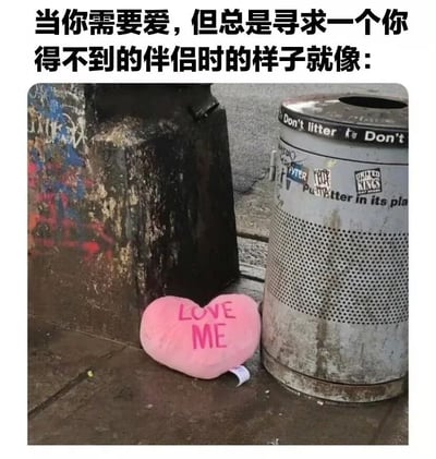 这是一张直击情感痛点的网络梗图，图中上方配有共情性的中文文案“当你需要爱，但总是寻求一个你得不到的伴侣时的样子就像：”，下方是实拍的城市街头角落场景：一个印着粉色“LOVE ME”字样的柔软粉色心形抱枕，被孤零零地丢弃在布满污渍的地面上，紧邻着一个脏污的金属垃圾桶，垃圾桶上印有“Don't litter”等英文标识，旁边还有一面布满涂鸦的深色斑驳墙体。整个场景充满了落寞与心酸的氛围，用被遗弃的、渴求爱意的心形抱枕，精准比喻了那些在感情中极度渴望被爱，却偏执地追求无法拥有的伴侣的人，最终只能落得像被丢弃的物件一样，自我的爱意与需求被无视、被冷落的处境，戳中了许多有相似情感经历的人的内心。