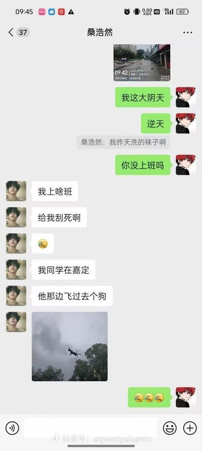 这是一段微信聊天记录的竖屏截图，对话双方围绕极端大风天气展开交流。一方先发了自己所在地的阴天天气截图，配文“我这大阴天”“逆天”；随后联系人桑浩然抱怨风太大，称自己前一天洗的袜子遭殃，还吐槽风大到没法上班，接着提到自己在嘉定的同学那边，风大到把狗吹到了空中，并附上一张狗被风吹到空中、背景是阴沉天空和树木的照片；最后对话方发送三个笑哭表情回应。整个对话用真实发生的离谱事件，生动展现了极端大风天气的夸张程度，充满搞笑效果。