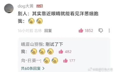 这是一张竖版社交媒体评论区截图。主楼用户“dog大黄”的LV6等级、发布时间、地点和点赞样式都符合哔哩哔哩评论界面。主楼写道：“别人：其实靠近眼睛就能看见洋葱细胞 我：[捂脸笑][捂脸笑]”。下方回复中，用户“峨眉山猕猴”说“刚试了下”，用户“我”连发三个捂脸笑表情并获得482个赞，用户“向-日葵--”也发了两个捂脸笑表情并获得177个赞，底部显示共有60条回复。笑点在于洋葱细胞通常需要显微镜观察，把洋葱靠近眼睛不但看不见细胞，反而会被洋葱释放的刺激性物质辣到流泪；“刚试了下”进一步强化了真有人照做并翻车的荒诞感。