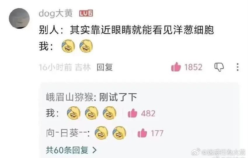 哔哩哔哩评论区