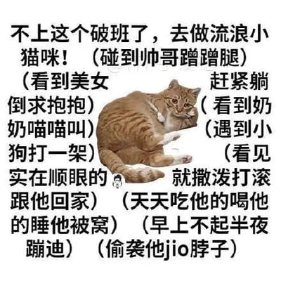 图片主体是一只橘猫仰卧露出肚皮的可爱形象，周围环绕着大量幽默文字，内容表达了对职场生活的吐槽和向往成为流浪猫咪的轻松心态。文字描述了做猫咪后的各种有趣行为：碰到帅哥蹭腿、看到美女求抱、对奶奶喵喵叫、和小狗打架，以及遇到顺眼的人就撒泼打滚跟回家，过上吃穿不愁、作息自由的生活，充满了反差萌和戏谑感。