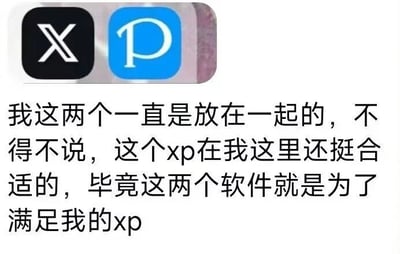 图片上方展示两个并排放置的软件图标，左侧为黑色背景白色'X'字样的图标，右侧为蓝色背景白色'P'字样的图标。下方配有文字：'我这两个一直是放在一起的，不得不说，这个xp在我这里还挺合适的，毕竟这两个软件就是为了满足我的xp'。图中利用'X'和'P'图标的组合形成'XP'缩写，玩了文字梗，将软件功能与网络用语'XP'（指个人偏好）巧妙结合，带有幽默调侃意味。