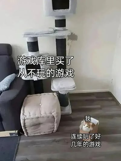 整张图为趣味吐槽梗图，画面左侧摆放着造型豪华、层数较多、专门供猫使用的大型猫爬架，对应配文“游戏库里买了从不玩的游戏”；右下角有一只小猫放着专门的猫爬架不用，反而蹲在一个简陋的小纸箱里，这部分对应的配文是“我 连续玩了好几年的游戏”。图中用猫咪的反常行为，形象比喻很多游戏玩家的普遍状态：购买了大量新游戏存入游戏库后却从来不会启动游玩，反而常年重复游玩少数几款已经玩了很多年的老游戏，内容精准戳中玩家日常，很容易引发受众共鸣。