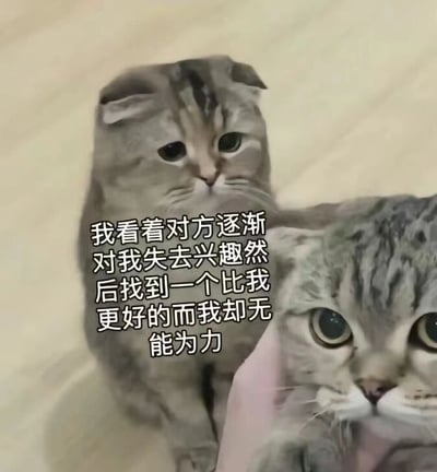 图片中有两只猫咪，一只背景中的折耳猫表情忧伤，一只前景中的虎斑猫眼神无助。图片中央有文字：'我看着对方逐渐对我失去兴趣然后找到一个比我更好的而我却无能为力'，表达了当看到他人失去兴趣并找到更好选择时的无助感。