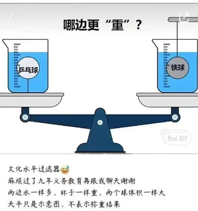 图片展示了一个天平两侧各放置一个烧杯的场景。左侧烧杯装有蓝色液体，内有标注'乒乓球'的白色球体；右侧烧杯同样装有蓝色液体，内有标注'铁球'的灰色球体。天平上方文字提问'哪边更重？'。图片下方配有文字：'文化水平过滤器 😂 麻烦过了九年义务教育再跟我聊天谢谢 两边水一样多，杯子一样重，两个球体积一样大 天平只是示意图，不表示称重结果'，以幽默方式暗示这是一个考验基础物理知识的问题。