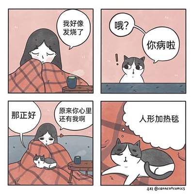 这是一组四格连环卡通漫画，讲述了主人和猫咪的搞笑互动：第一格中，裹着红格子毯子的女生虚弱地表示自己好像发烧了；第二格，黑白花色的猫咪听到后露出惊讶的表情，开口询问“你病啦”；第三格，女生看到猫咪的反应，感动地以为猫咪在关心自己，说道“原来你心里还有我啊”，没想到猫咪却回应“那正好”，随即跳到了女生的毯子上；第四格，猫咪惬意地趴在女生的毯子上，内心想着“人形加热毯”，原来猫咪只是将发烧的主人当成了温暖的加热工具，这种反差感制造出强烈的搞笑效果，生动展现了猫咪看似冷漠实则“务实”的可爱属性。