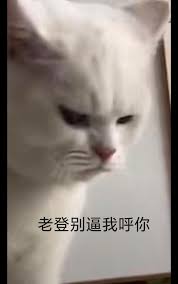 老登