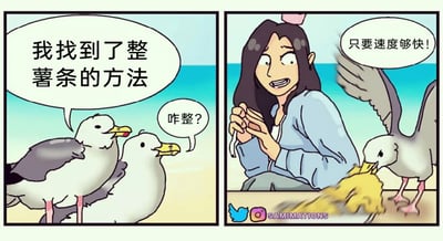这是一幅由两格画面组成的连环卡通漫画，场景设定在海边沙滩。第一格中，两只拟人化的海鸥正在对话，其中一只海鸥面露得意神色，开口说道“我找到了整薯条的方法”，另一只海鸥则一脸疑惑地询问“咋整？”。第二格画面展示了这个“整薯条”方法的具体内容：一位坐在沙滩上的女性面露惊讶错愕的表情，手中握着已经空了的薯条包装袋，一只海鸥正叼着一大份薯条快速飞走，旁边的配文“只要速度够快！”揭晓了海鸥获取薯条的方式——靠快速抢夺。漫画用拟人化的设定和反差感的情节制造出幽默搞笑的效果，还原了海滩上海鸥抢食的常见趣事，生动又有趣。