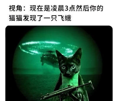 这张梗图以幽默夸张的方式展现了猫咪深夜捕猎飞蛾的场景。图片上方文字提示"视角：现在是凌晨3点然后你的猫猫发现了一只飞蛾"，下方则是一张经过创意合成的图片：一只黑猫表情严肃地手持步枪，背景是带有绿色夜视效果的军事场景，包含直升机和疑似UFO的不明飞行物。这种将猫咪日常捕猎行为与紧张刺激的军事行动画面结合的方式，形成了强烈的反差萌和喜剧效果。