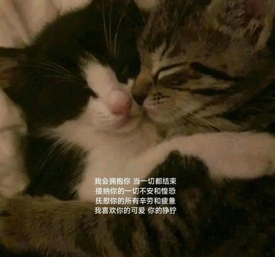 这是一张静态的图文混排图，画面主体是两只紧紧相拥的猫咪，一只为黑白花色，一只为狸花斑纹，它们都闭着眼睛，神态放松安详，彼此依偎的姿态显得十分亲昵温暖。图片下方配有一段治愈系的告白文字：“我会拥抱你 当一切都结束 接纳你的一切不安和惶恐 抚慰你的所有辛劳和疲惫 我喜欢你的可爱 你的狰狞”，这段文字传递出全然接纳、包容的亲密情感，搭配猫咪温馨相拥的画面，进一步烘托出温柔治愈的氛围，能够给观看者带来心灵的慰藉，适合用来表达对他人的接纳与温柔的情感。