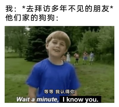 这是一张充满趣味的情景梗图，上方用文字设定场景：“我：*去拜访多年不见的朋友* 他们家的狗狗：”，下方是截取的国外小男孩的视频截图，小男孩歪着头，配有的中英文字幕“等等 我认得你 / Wait a minute, I know you.”，用来拟人化地表现朋友家的狗狗在许久未见后，突然认出访客的反应，生动还原了狗狗记性较好、能识别旧识的特点，用人类的认人场景来类比狗狗的反应，增添了幽默效果。