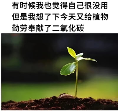 这是一张幽默自嘲风格的图文混排图片，上方是黑色文字："有时候我也觉得自己很没用 但是我想了下今天又给植物勤劳奉献了二氧化碳"，下方是一张清晰的幼苗生长照片。图片通过将人类呼吸产生二氧化碳这一自然现象幽默化为对植物的"贡献"，以轻松方式缓解自我否定情绪，展现了积极的生活态度。