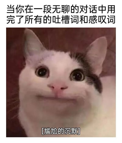 图片上方有文字“当你在一段无聊的对话中用完了所有的吐槽词和感叹词”，中间是一只表情略显尴尬、眼睛睁大的猫的特写照片，图片下方有文字“[尴尬的沉默]”。整体通过猫的表情和文字结合，幽默地表达了在对话中词穷后的尴尬状态。