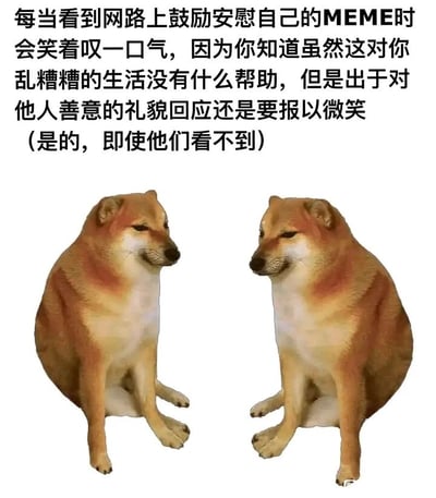 这是一张图文混排的网络meme图，上方配有一段戳中当代人情绪的文字，描述了人们在看到网络上的安慰鼓励类meme时，内心清楚这些内容无法改变自己乱糟糟的生活，但还是会出于礼貌，对着这份善意报以微笑的复杂心态，即使对方看不到这份回应。下方是两只镜像呈现的柴犬形象，柴犬嘴角上扬，露出带着疲惫感的勉强微笑，坐姿端正，这个形象和上方的文字完美呼应，精准传递出那种在疲惫生活中维持礼貌的无奈与心酸，很容易让处于生活压力下的年轻人产生情绪共鸣。
