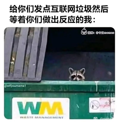 这是一张趣味梗图，图片上方配有中文文字“给你们发点互联网垃圾然后等着你们做出反应的我：”，下方是一只浣熊躲在标有“WASTE MANAGEMENT（废物管理）”字样的绿色垃圾桶中，只露出脑袋，眼神看起来带着期待又忐忑的情绪。图中将发布无意义网络内容的自己比作“互联网垃圾”，用躲在垃圾桶里的浣熊形象，生动又幽默地表现出分享了没营养的网络内容后，等待他人回应时那种小心翼翼又略带心虚的状态，精准贴合网友在社交平台分享无聊内容后的微妙心理。