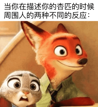 图片上方配有文字“当你在描述你的杏匹的时候 周围人的两种不同的反应：”，下方是动画电影《疯狂动物城》中的角色尼克·王尔德和朱迪·霍普斯的截图。尼克·王尔德（狐狸）面带自信的微笑，眼神轻松，而朱迪·霍普斯（兔子）则瞪大双眼，嘴巴微张，露出惊讶的表情，两人形成鲜明对比，分别代表了周围人可能出现的两种不同反应。