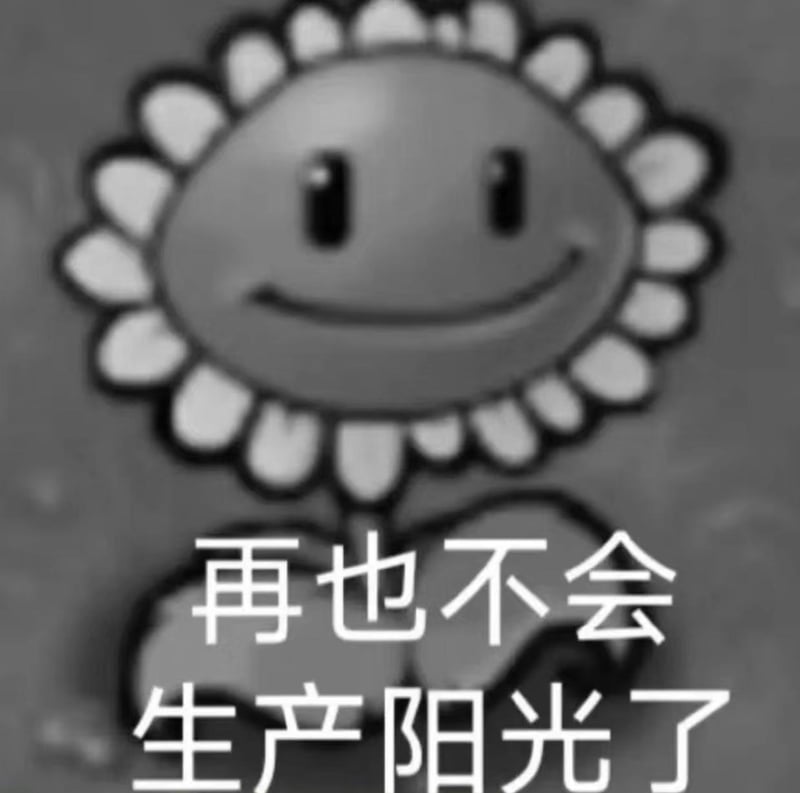 向日葵