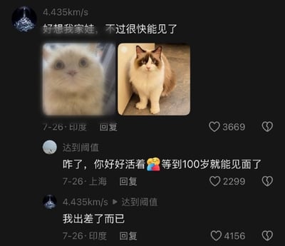 这是一张社交媒体评论区截图，IP定位在印度的用户“4.435km/s”发布动态，配了自家两只布偶猫的照片，表示想念自家宠物，很快就能见面了，该条内容获得3669个点赞；IP定位在上海的网友“达到阈值”误以为该用户遭遇意外，调侃他好好活着等到100岁就能见面，该回复获得2299个点赞；随后用户回复该网友，说明自己只是出差而已，这条澄清内容获得4156个点赞，整体是网友误会产生的乌龙搞笑互动，氛围轻松有趣。