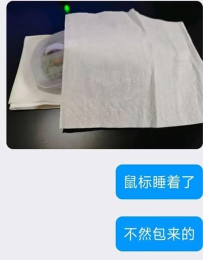 图片展示了一只电脑鼠标被白色纸巾覆盖在深色桌面上，纸巾如同小被子般将鼠标完全盖住，营造出“鼠标睡着了”的拟人化场景。图片下方配有两行蓝色文字气泡：“鼠标睡着了”和“不然包来的”，通过“包”（覆盖）的双关语义制造幽默效果，将日常物品赋予可爱的想象。