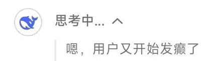 这是一张基于字节跳动AI豆包的工具软件界面截图，画面左上角是豆包的蓝色卡通鲸鱼logo，上方显示“思考中...”的状态提示文字，下方配有模拟AI内心OS的文字“嗯，用户又开始发癫了”。以AI的视角调侃用户在互动时的跳脱行为，用幽默的方式展现和AI交流时的趣味场景，没有双关、谐音梗等特殊表意。