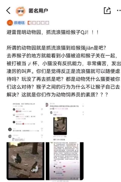 这是一张社交媒体平台的爆料截图，匿名用户为昆明动物园打出一星差评，以愤怒的语气发文谴责该动物园存在虐待动物的行为：称动物园抓捕流浪猫并将其与猴子关在一起，小猫没有反抗能力，被猴子殴打、虐待，发出痛苦的叫声。用户质疑动物园饲养员的素质，认为流浪猫也不该被如此对待，猴子的相关行为不应以牺牲流浪猫为代价。截图下方附带了两张现场拍摄的照片，能看到猴子和流浪猫共处同一场地的场景，同时还显示了部分其他用户的评论内容，整体内容旨在呼吁关注该事件，避雷该动物园并呼吁保护流浪动物。
