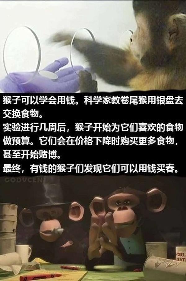 马达加斯加
