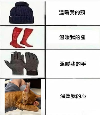 这是一张2x2网格的图文混排梗图，左侧四格分别展示深蓝色针织帽、红色袜子、黑色手套和一只蜷缩睡觉的橘猫，右侧对应文字依次为'温暖我的头'、'温暖我的脚'、'温暖我的手'、'温暖我的心'，通过递进的方式表达冬季保暖从身体部位到心灵的温暖。