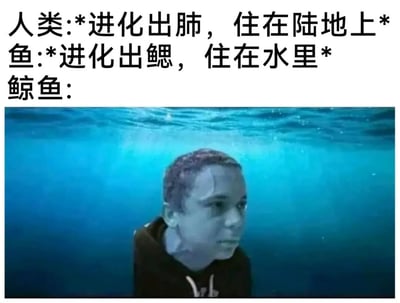 图片上半部分用文字描述了进化现象：人类进化出肺以适应陆地生活，鱼进化出鳃以适应水中生活，而鲸鱼的进化路径则用一张图片幽默呈现——一名男子身处水下，表情困惑地望向一侧，暗讽鲸鱼作为哺乳动物却重返海洋生活的进化反差，形成搞笑的生物学梗。