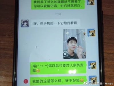 这张图片展示了一段微信聊天记录，内容讲述一方想让对方收养自家的猫，对方要求拍猫照看一看，结果对方却发来了一张自己的自拍照，还做出类似猫爪动作。随后又有自嘲问这样的话是不是很好笑。整个对话充满反差感与幽默效果，利用错位表达产生爆笑效果。最后自我调侃升华了整个氛围。

没有发现双关、谐音或隐藏暗示内容，仅单纯体现聊天的搞笑氛围。