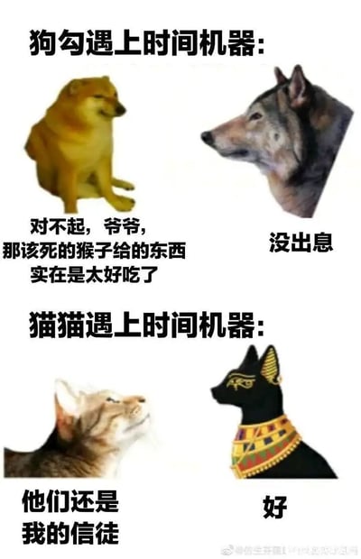 这是一张上下分栏的对比式搞笑梗图，分为“狗勾遇上时间机器”和“猫猫遇上时间机器”两个部分。上半部分中，现代的Doge柴犬穿越回过去见到自己的祖先狼，柴犬一脸愧疚又带着满足地对狼说“对不起，爷爷，那该死的猴子给的东西实在是太好吃了”，这里的“猴子”指代人类，调侃狗被人类的食物驯化，而狼则一脸嫌弃地回应“没出息”。下半部分中，现代家猫穿越回古埃及见到以猫形象呈现的阿努比斯，现代猫骄傲地仰头说“他们还是我的信徒”，对应古埃及猫被奉为神明、受人类崇拜的历史，阿努比斯则简洁回应“好”。整张图通过猫狗在人类历史中不同地位和状态的反差，制造出强烈的搞笑效果，调侃了狗被驯化后的“顺从”和猫从古至今被人类喜爱的“高傲”。