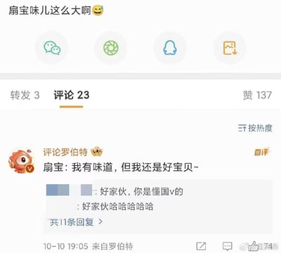 这是一张微博评论区的截图，原博主发文调侃虚拟主播「扇宝」「扇宝味儿这么大啊😅」，首评用户「评论罗伯特」模仿扇宝的可爱语气回复「扇宝：我有味道，但我还是好宝贝~」，精准拿捏国V的软萌人设，引发其他网友评论「好家伙，你是懂国v的」，该互动收获了137个点赞、23条评论，其中首评有11条回复，整体是围绕虚拟主播扇宝的趣味玩梗，充满粉丝社群的欢乐氛围。