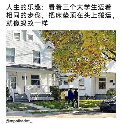这是一张带有搞笑配文的实拍图片，画面呈现了美国风格的居民区街道，几栋白色的独栋住宅旁，三名大学生迈着完全同步的步伐，共同将一张床垫顶在头顶向前行走，他们的动作整齐得如同蚂蚁搬运食物。图片上方的中文配文调侃这是“人生的乐趣”，用蚂蚁来比喻他们的搬运姿态，充满了诙谐幽默的氛围，生动展现了大学生在搬家过程中无意间创造出的有趣瞬间。