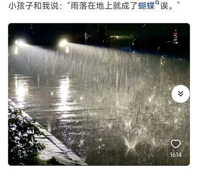 夜晚的街道上，车辆的灯光照亮了倾盆而下的大雨，雨滴砸在积水的路面上，溅起的水花在灯光的映衬下，形态酷似一只只蝴蝶。图上方配文“小孩子和我说：‘雨落在地上就成了蝴蝶诶。’”，用孩童充满想象力的视角，将雨滴溅起的水花比作蝴蝶，充满了治愈又浪漫的诗意，展现了孩子独特的观察力和柔软的内心世界。