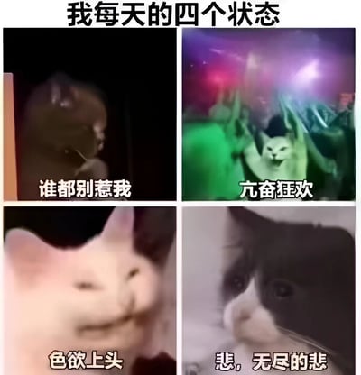这是一张四宫格拼贴梗图，标题为“我每天的四个状态”，用四张不同表情和动作的猫咪图片幽默展现日常情绪变化。左上角猫咪在黑暗中侧身，配文“谁都别惹我”，表情不耐烦；右上角猫咪在彩色灯光下举手狂欢，配文“亢奋狂欢”，显得极度兴奋；左下角猫咪凑近镜头，表情迷离，配文“色欲上头”；右下角猫咪眼神空洞，配文“悲，无尽的悲”，充满悲伤氛围。整体通过猫咪的生动表情和夸张文字，以搞笑方式共鸣大众日常情绪波动。