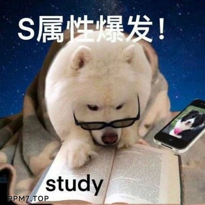 这是一张经过P图改编的搞笑励志表情包，画面主体是一只被P上黑框眼镜、裹着毯子的白色狗狗，它趴在一本印有“study”字样的打开的书上，前爪搭在书页上，神情专注，仿佛正认真投入学习。狗狗右侧放着一部手机，屏幕上显示着另一只狗狗的照片，图片顶部配有文字“S属性爆发！”，用拟人化的方式表现出突然燃起强烈学习斗志的状态，搞笑又贴切地传达了想要专注学习的决心，很适合在学习相关的社交场景中使用，用来调侃自己或鼓励他人。