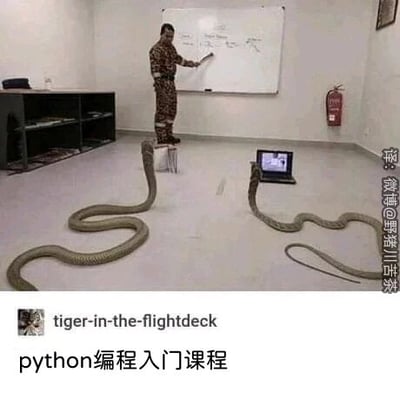 暂无描述