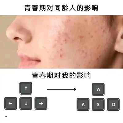 这是一张上下结构的对比类搞笑梗图，上半部分配有文字“青春期对同龄人的影响”，展示了一张布满痘痘和痘印的人脸侧面，体现多数同龄人在青春期面临的皮肤问题困扰；下半部分配有文字“青春期对我的影响”，呈现了传统方向键（↑↓←→）向游戏常用的WASD移动按键转变的图示，以此调侃自己的青春期沉迷电脑游戏，与同龄人被皮肤问题影响的普遍情况形成强烈反差，用幽默的方式展现不同人的青春期体验差异。