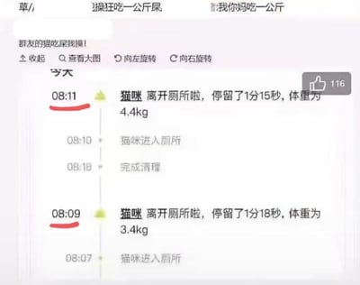 这张截图展示了一个猫咪厕所活动记录，显示猫咪在08:07进入厕所，08:09离开，停留1分18秒，体重3.4kg；随后在08:10再次进入，08:11离开，停留1分15秒，体重变为4.4kg。记录上方有群友的震惊评论"群友的猫吃屎我操!"，以及一些其他粗俗言论。截图右上角有116个点赞。