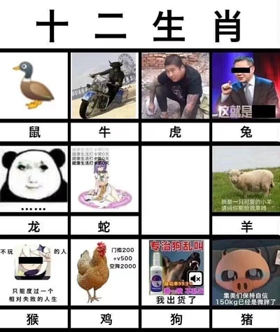 这是一张搞笑版十二生肖 meme 合集，采用3x4网格布局（共12个格子），每个格子对应一个生肖，上方配有生肖名称，下方为幽默图片及文字。具体内容包括：鼠对应鸭子图片（可能存在错位或谐音梗）；牛为骑摩托车的黑色牛形象；虎是蹲地观察的纹身男子；兔是戴墨镜指人的西装男子，配文“这就是”；龙是熊猫头表情包；蛇是动漫女孩配重复的“健康生活打卡第0天”；马格子为空；羊是草地小羊配文“我是一只可爱的小羊请问你能给我草吗”；猴是动漫角色配“不玩...的人只能度过一个相对失败的人生”；鸡是公鸡配“门槛200 +v500 空降2000”；狗是“专治狗乱叫”喷雾瓶和狼头图，配文“成功率99.9% 喷一喷 不乱叫 我出货了”；猪是圆脸配“集美们保持自信 150Kg已经是微胖了”。整体通过结合网络热词、表情包和动漫素材，对传统十二生肖进行幽默改编。