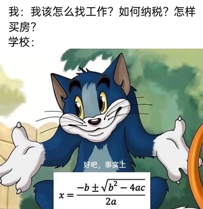 这是一张网友改编自动画《猫和老鼠》的吐槽梗图，图中“我”向学校提出了找工作、纳税、买房这些与现实生存息息相关的实用问题，而学校则以摊手的汤姆猫形象回应，给出的却是数学中的一元二次方程求根公式。该图通过这种强烈的反差，讽刺了传统学校教育内容与学生毕业后的现实生活需求严重脱节的现象：学校往往侧重于传授理论知识，却忽略了教授学生进入社会后必需的生存技能，引发大众对教育实用性的反思与共鸣。