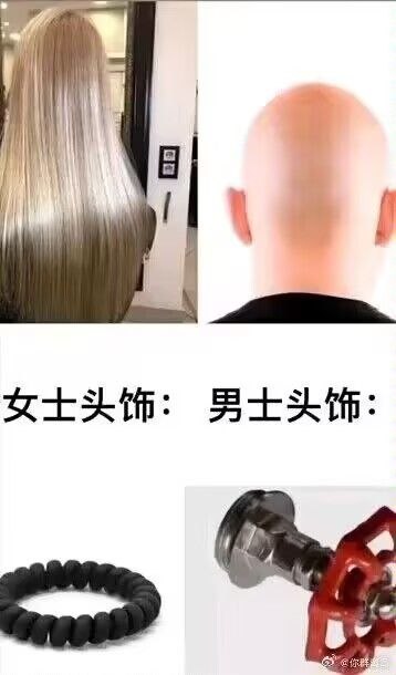 这张图采用左右分组对比的四格拼接形式，左侧对应女士头饰：上方是留着顺滑浅金色长直发的女性背影，下方是女士常用的黑色电话线款式发圈；右侧对应男士头饰：上方是完全光头的男性后脑勺，下方是消防用的喷淋头，通过夸张的类比制造笑点，调侃光头男性的头顶如同可以安装喷淋头的接口，用强烈的反差感达成搞笑效果。