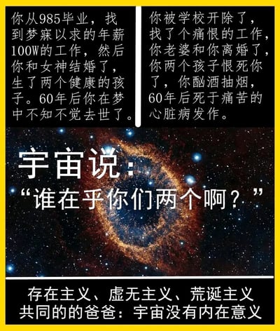 这张图片采用左右对比的图文混排形式，呈现了两种极端对立的人生轨迹：左侧是世俗定义里的完美人生，拥有高学历、高薪工作、美满家庭，最终安然离世；右侧则是充满不幸的人生，学业失败、工作痛苦、家庭破裂，在痛苦中死去。图片中间以真实的环状星云宇宙图为背景，配上“宇宙说：‘谁在乎你们两个啊？’”的文字，站在宏大的宇宙尺度消解了两种人生的差异。底部的文字进一步点明核心，将存在主义、虚无主义、荒诞主义的核心归结为“宇宙没有内在意义”，传递出在浩瀚宇宙面前，个体的人生境遇与世俗评判都显得微不足道的虚无感，引发人们对人生意义的思考。