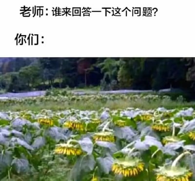 这张梗图上半部分有文字“老师：谁来回答一下这个问题？你们：”，下半部分是一片低着头的向日葵田地，形象地表现出当老师提问时，学生们都不想被点到，纷纷低头假装看不到的尴尬场景。幽默地表达了课堂上集体躲避老师提问的心理状态，非常贴近校园生活。没有明显的双关或谐音梗，但通过“向日葵低头”来类比学生集体低头这一场景，属于形象类比梗。