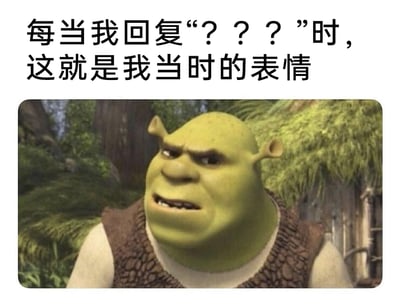 这是一张图文混排的表情包，上方配有文字“每当我回复“？？？”时，这就是我当时的表情”，下方是动画电影《怪物史莱克》中主角史莱克的截图，史莱克眉头紧皱，嘴角下撇，露出牙齿，面部表情充满了疑惑、不解，还带着些许嫌弃，精准对应了人们发送问号时的复杂情绪，常用于社交场景中，表达对收到的信息感到困惑、无法理解的心情，生动又贴切地传递了当下的情绪状态。
