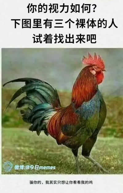 这是一张图文结合的整蛊梗图，上方文字以测试视力为噱头，引导观看者在图中寻找三个裸体的人，而图内实际只有一只羽毛色彩丰富的公鸡，底部文字揭晓整蛊内容：“骗你的，我其实只想让你看看我的鸡”。该图运用了低俗谐音双关梗，“鸡”谐音男性生殖器，通过制造预期落差和低俗暗示来达到整蛊搞笑的效果，图的左下角标注了来源水印“微博:@今日memes”。