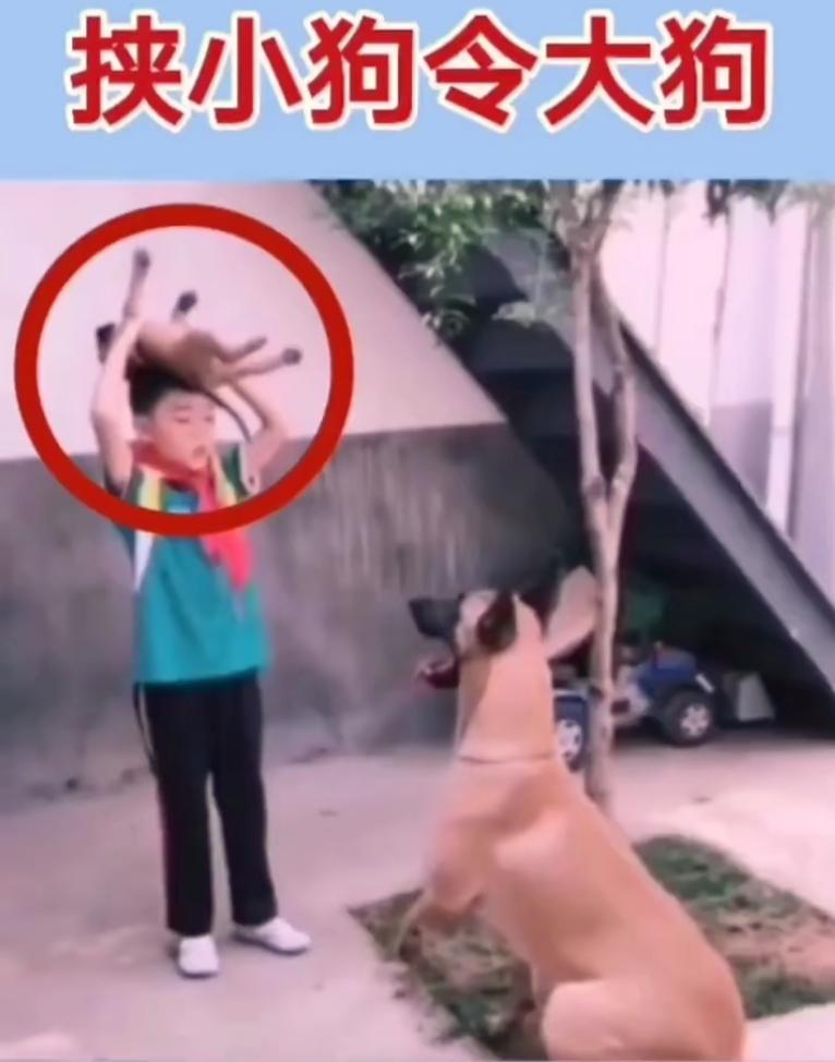 小男孩
