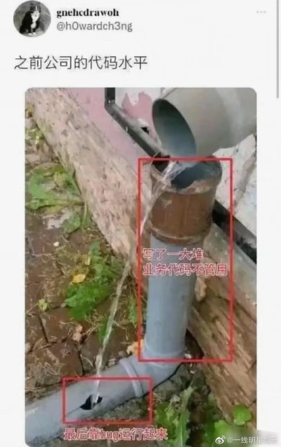 这是一张程序员用来吐槽劣质代码的梗图，以现实中不合理的排水场景类比职场代码问题：上方的排水管本该将水导入下方管道，但中间的管道接口未对接好，水直接漏出，而下方的管道还有破洞，水从破洞流走。图中配文“之前公司的代码水平”，并用红框分别标注两个部分：上方漏水的管道配文“写了一大堆业务代码不管用”，类比写了大量无效代码，没起到应有的作用；下方带破洞的管道配文“最后靠bug运行起来”，类比代码逻辑混乱，最后反而要靠漏洞才能正常运行，精准戳中程序员遇到烂代码的无奈与槽点。